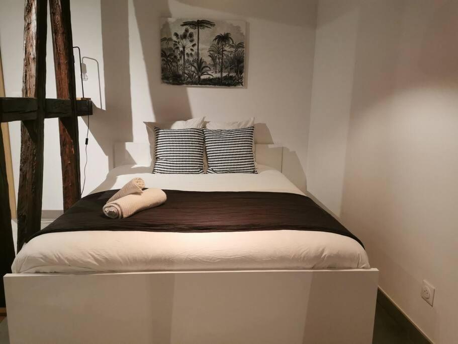 La Pomme Du President Iii Apartment Selestat