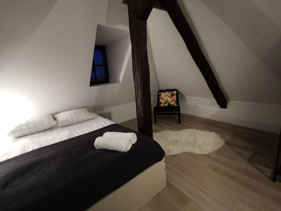 La Pomme Du President Iii Apartment Selestat