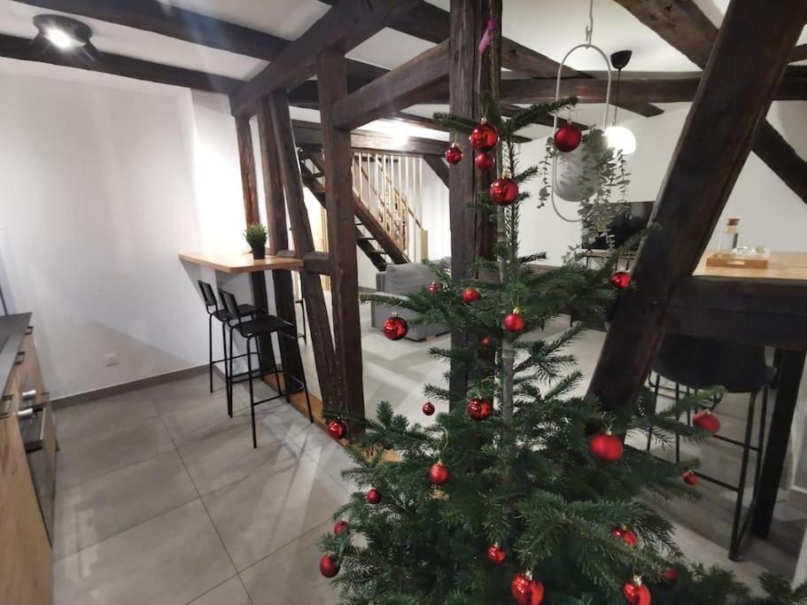 Apartment La Pomme Du President Iii Selestat
